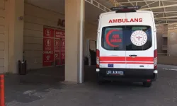 Şanlıurfa'da devrilen otomobildeki 4 kişi yaralandı