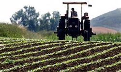 Çorum'da çiftçi, "hayvan otlatma" nedeniyle tartıştığı komşusunu öldürüp intihar etti