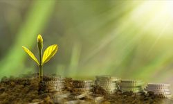 Türkiye'de bankaların iklim hedeflerine yönelik adımları sınırlı kaldı