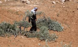 Batı Şeria'nın ilhakına desteğini çeken Netanyahu'ya, Filistin topraklarını gasbeden İsrailliler öfkeli