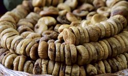 Kuru incir ihracatı 369 milyon 759 bin dolara ulaştı