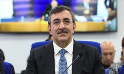 Cumhurbaşkanı Yardımcısı Yılmaz, Plan ve Bütçe Komisyonu'nda milletvekillerinin sorularını yanıtladı