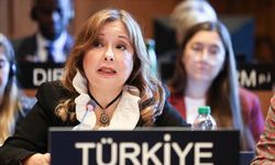 Büyükelçi Aybet, İsrail'in BM kararıyla kurulan UNRWA'yı yasaklamaya hakkı olmadığını belirtti