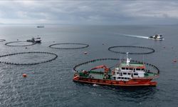 Karadeniz su ürünleri ihracatından 9 ayda 278,7 milyon dolar kazandı