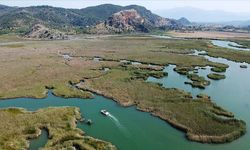 Labirenti Andıran Kanallar, Kuşlar ve Kaplumbağalar: Dalyan, Ekimde de Turistlerin Gözdesi