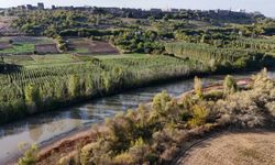 Dicle Nehri'nin 100 kilometrelik kısmı "nehir" statüsünde tanımlanmıyor