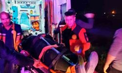 Mardin’de devrilen otomobildeki 3 kişi yaralandı