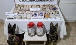 Reyhanlı’da sazlık alanda 100 bin adet yasaklı madde ele geçirildi