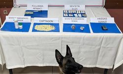 İskenderun’da Jandarma’dan yasaklı madde operasyonu