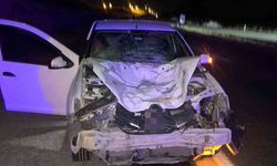 Siirt’te otomobil ata çarptı: At telef oldu