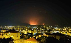 Yüksekova’da kuş cenneti olan Nehil Sazlığı yangın