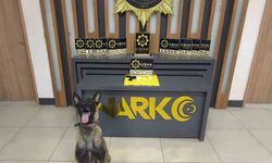 Uşak’ta otomobillerde yasaklı madde ele geçirildi