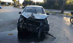 Palmiyeye çarpan otomobil hurdaya döndü: 1 yaralı