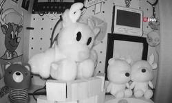 Japonya'da 6,7 büyüklüğünde deprem: Tsunami uyarısı yapıldı