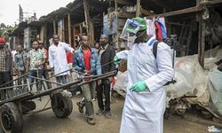 Nijerya'nın Adamawa eyaletinde kolera salgınında 10 kişi hayatını kaybetti