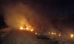 Tunceli'de otluk alanda çıkan yangın söndürüldü