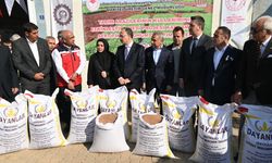 Siirt'te 588 üreticiye yüzde 75 hibe desteğiyle kırmızı mercimek tohumu dağıtıldı