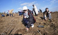 Filistinli çocukların anısına İstanbul'da 10 bin fidan dikildi
