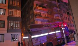 Ordu'da apartman dairesinde çıkan yangında anne ve oğlu yaralandı
