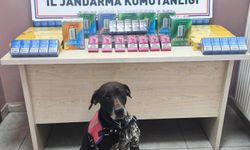 Kayseri'de kaçakçılık operasyonunda 2 şüpheli yakalandı