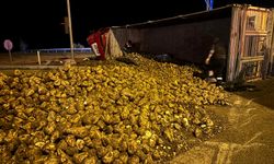 Çorum'da tırla otomobilin çarpıştığı kazada 3 kişi yaralandı