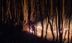 Ordu'da çıkan örtü yangınına müdahale ediliyor