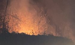 Trabzon'da çıkan örtü yangını kontrol altına alındı