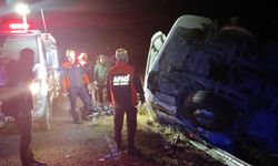 Elazığ'da devrilen kamyonun sürücüsü yaralandı