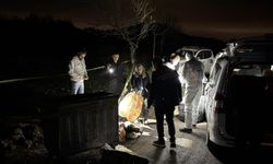 Samsun'da 9 köpeğin ölü bulunmasıyla ilgili soruşturma başlatıldı