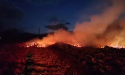 Bilecik'te arazide çıkan yangın söndürüldü