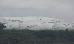 Ardahan'da yüksek kesimler beyaza büründü