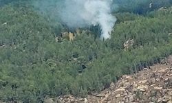 Kavaklıdere'de orman yangını