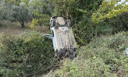 Sollama yaparken zeytinliğe uçtu