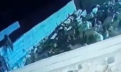 Ağıla giren kurt koyunu telef etti