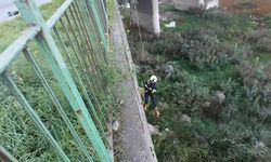 Filyos Çayı'na düşen yavru kedi kurtarıldı