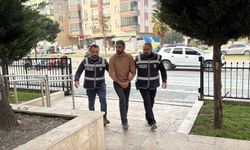 Kullandığı tırın dorsesinde 11 kaçak göçmen bulunan sürücü tutuklandı