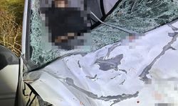 Diyarbakır'da iki otomobil ile at çarpıştı: 1 ölü, 7 yaralı