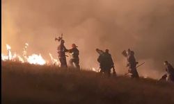 Ermenistan sınırında korkutan örtü yangını