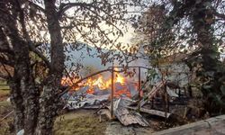 Alevlere teslim olan ahşap evdeki 5 kişi dumandan etkilendi