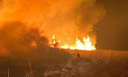 Hakkari'de kuş cennetinde yangın