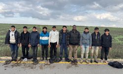 Edirne’de 10 düzensiz göçmen yakalandı