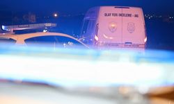 Birlikte yaşadığı kadını tabancayla öldürdü: İnşaatın çatısında yakalandı