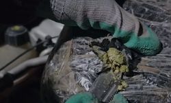 Doğubayazıt’ta 3 kilo 154 gram skunk ele geçirildi