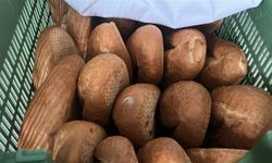 Fiyatın yarısından daha ucuza ekmek satınca metrelerce kuyruk oluştu