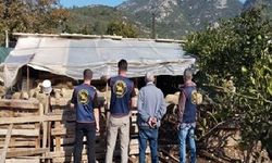 Germencik’te çalınan hayvanlar bulunarak sahibine teslim edildi