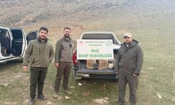 Kafes avcılığı yapan şahıs suçüstü yakalandı: 20 bin TL ceza