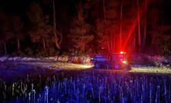 Muğla'da çıkan orman yangını kısa sürede kontrol altına alındı