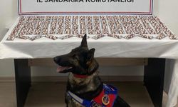 Yasaklı madde ile yakalanan şahıs tutuklandı