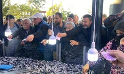Artvin'in Hopa ilçesinde kilosu 20 liradan satılan 3 ton hamsi 2 saatte tükendi