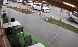 Yolun karşısına geçmek isteyen bisikletliye otomobil çarptı: 1 yaralı